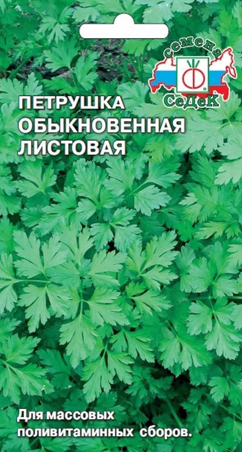 Семена Петрушки СЕМЕНА СЕДЕК листовая обыкновенная 2 г — цена в Старом  Осколе, купить в интернет-магазине, характеристики и отзывы, фото